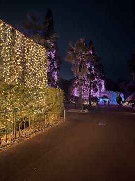 NESTA RESORT KOBE（ネスタリゾート神戸）に投稿された画像（2024/1/17）