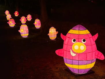 体験王国 むら咲むらに投稿された画像（2024/1/17）