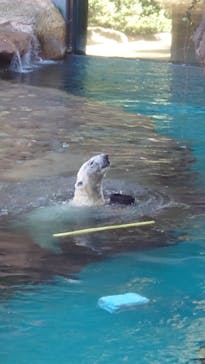 よこはま動物園ズーラシアに投稿された画像（2024/1/17）