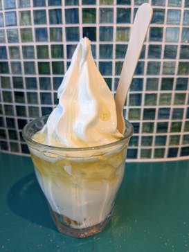 大分マリーンパレス水族館 「うみたまご」に投稿された画像（2024/1/17）