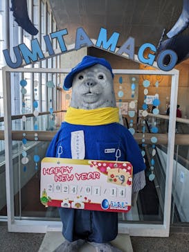 大分マリーンパレス水族館 「うみたまご」に投稿された画像（2024/1/17）