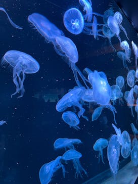 AOAO SAPPOROに投稿された画像（2024/1/17）