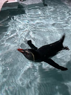 AOAO SAPPOROに投稿された画像（2024/1/17）