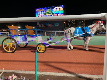 東京メガイルミに投稿された画像（2024/1/17）