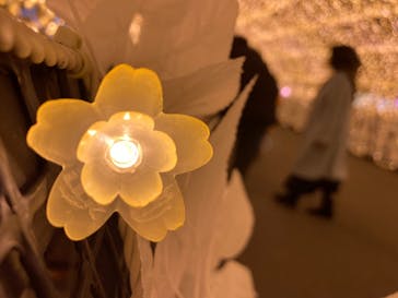 東京メガイルミに投稿された画像（2024/1/17）