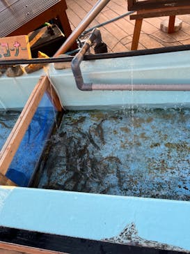 NESTA RESORT KOBE（ネスタリゾート神戸）に投稿された画像（2024/1/17）