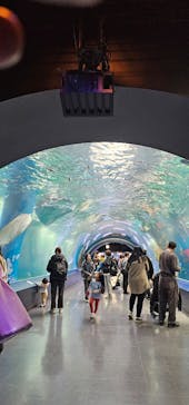 マクセル アクアパーク品川に投稿された画像（2024/1/17）