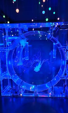 マクセル アクアパーク品川に投稿された画像（2024/1/17）