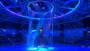 マクセル アクアパーク品川に投稿された画像（2024/1/17）