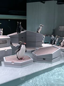 AOAO SAPPOROに投稿された画像（2024/1/18）