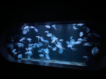 AOAO SAPPOROに投稿された画像（2024/1/18）