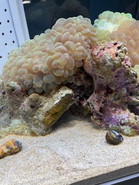 AOAO SAPPOROに投稿された画像（2024/1/18）