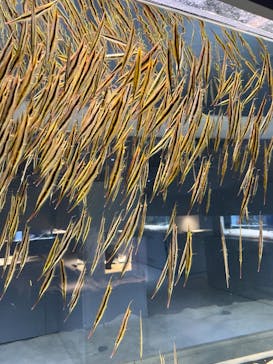 AOAO SAPPOROに投稿された画像（2024/1/18）