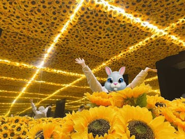 ゴッホ・アライブに投稿された画像（2024/1/18）