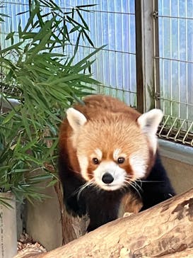 熱川バナナワニ園に投稿された画像（2024/1/18）