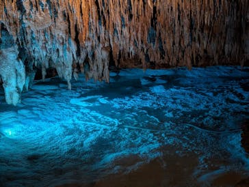 おきなわワールドに投稿された画像（2024/1/18）