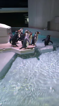 AOAO SAPPOROに投稿された画像（2024/1/18）