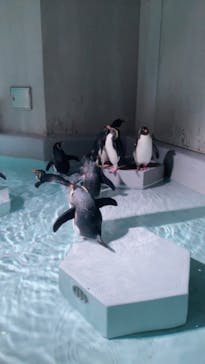 AOAO SAPPOROに投稿された画像（2024/1/18）