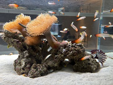 AOAO SAPPOROに投稿された画像（2024/1/18）