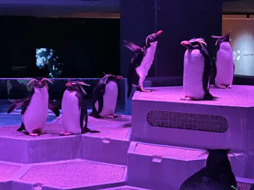 AOAO SAPPOROに投稿された画像（2024/1/18）