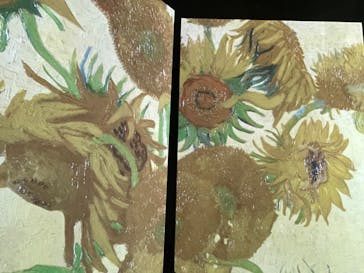 ゴッホ・アライブに投稿された画像（2024/1/18）