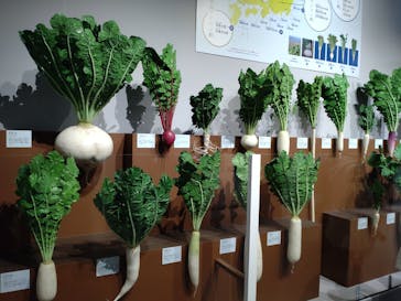 特別展「和食 ～日本の自然、人々の知恵～」に投稿された画像（2024/1/18）