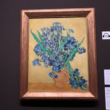 ゴッホと静物画　伝統から革新へ（SＯＭＰＯ美術館）に投稿された画像（2024/1/18）