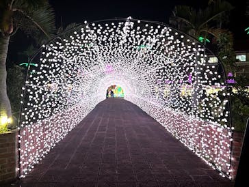 美らヤシパークオキナワ・東南植物楽園に投稿された画像（2024/1/18）