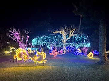 美らヤシパークオキナワ・東南植物楽園に投稿された画像（2024/1/18）