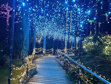 美らヤシパークオキナワ・東南植物楽園に投稿された画像（2024/1/18）