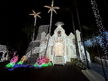 美らヤシパークオキナワ・東南植物楽園に投稿された画像（2024/1/18）