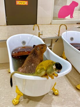 アニタッチアクアシティお台場に投稿された画像（2024/1/19）