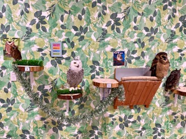 アニタッチアクアシティお台場に投稿された画像（2024/1/19）