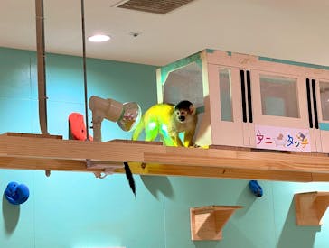 アニタッチアクアシティお台場に投稿された画像（2024/1/19）