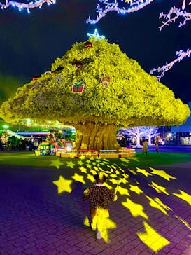 東京メガイルミに投稿された画像（2024/1/19）