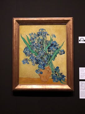 ゴッホと静物画　伝統から革新へ（SＯＭＰＯ美術館）に投稿された画像（2024/1/19）