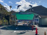 下田海中水族館に投稿された画像（2024/1/19）