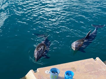 下田海中水族館に投稿された画像（2024/1/19）
