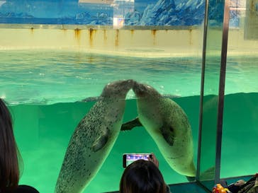 下田海中水族館に投稿された画像（2024/1/19）