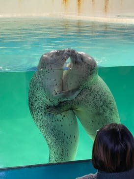下田海中水族館に投稿された画像（2024/1/19）