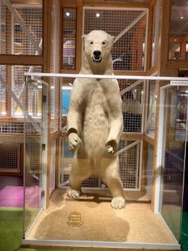 国立科学博物館に投稿された画像（2024/1/19）