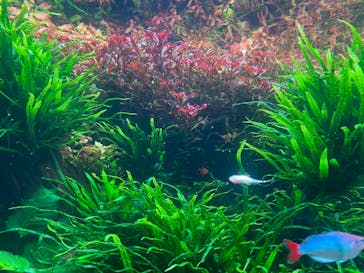 AOAO SAPPOROに投稿された画像（2024/1/19）