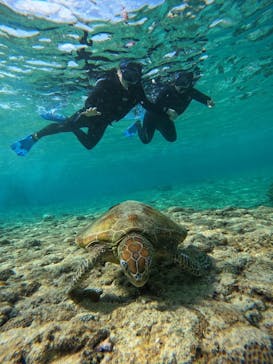 宮古島 ADVENTURE PiPi（ミヤコジマ アドベンチャー ピピ）に投稿された画像（2024/1/19）