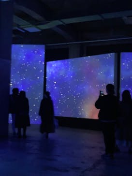 ゴッホ・アライブに投稿された画像（2024/1/19）