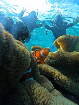 宮古島 ADVENTURE PiPi（ミヤコジマ アドベンチャー ピピ）に投稿された画像（2024/1/19）