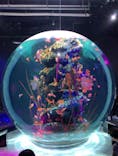 AQUARIUM × ART　atoaに投稿された画像（2024/1/19）