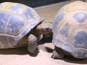 AQUARIUM × ART　atoaに投稿された画像（2024/1/19）