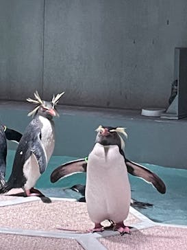 AOAO SAPPOROに投稿された画像（2024/1/19）