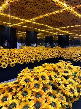 ゴッホ・アライブに投稿された画像（2024/1/19）