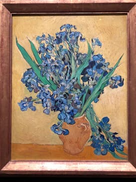 ゴッホと静物画　伝統から革新へ（SＯＭＰＯ美術館）に投稿された画像（2024/1/19）